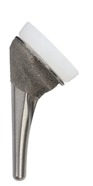 prothese épaule tige humérale inversée